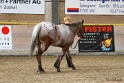 24-ApHC HIH_069